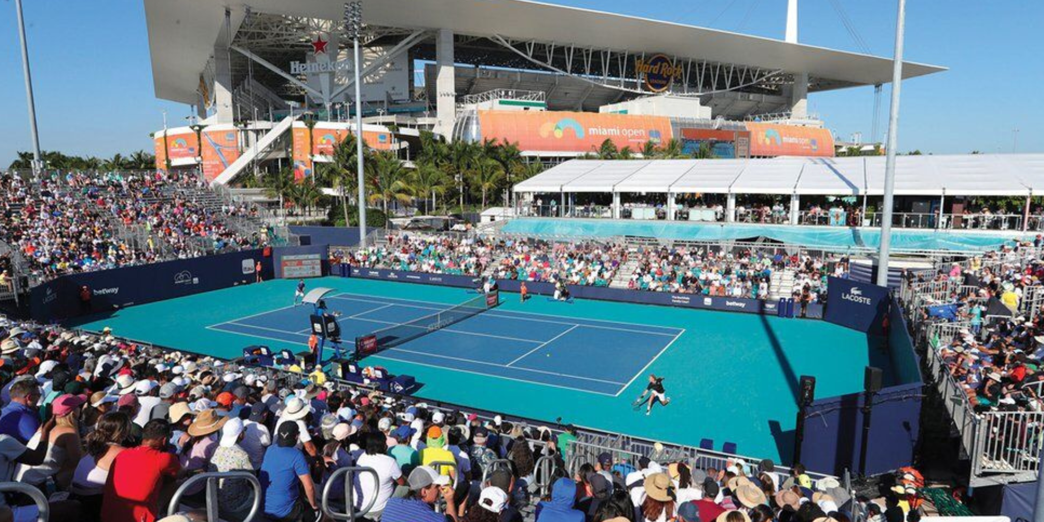 🎾 The Miami Open: Where Tennis Meets Style, Heat, and High Energy
