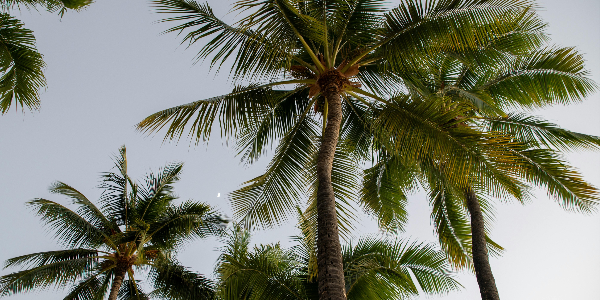 The Fashion Scene at Indian Wells
